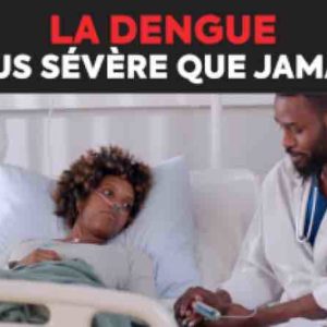 Epidémie de dengue à La Réunion